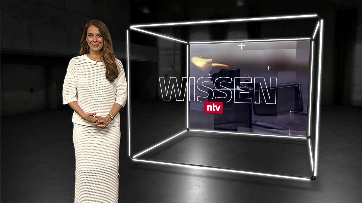 Wissen wissen