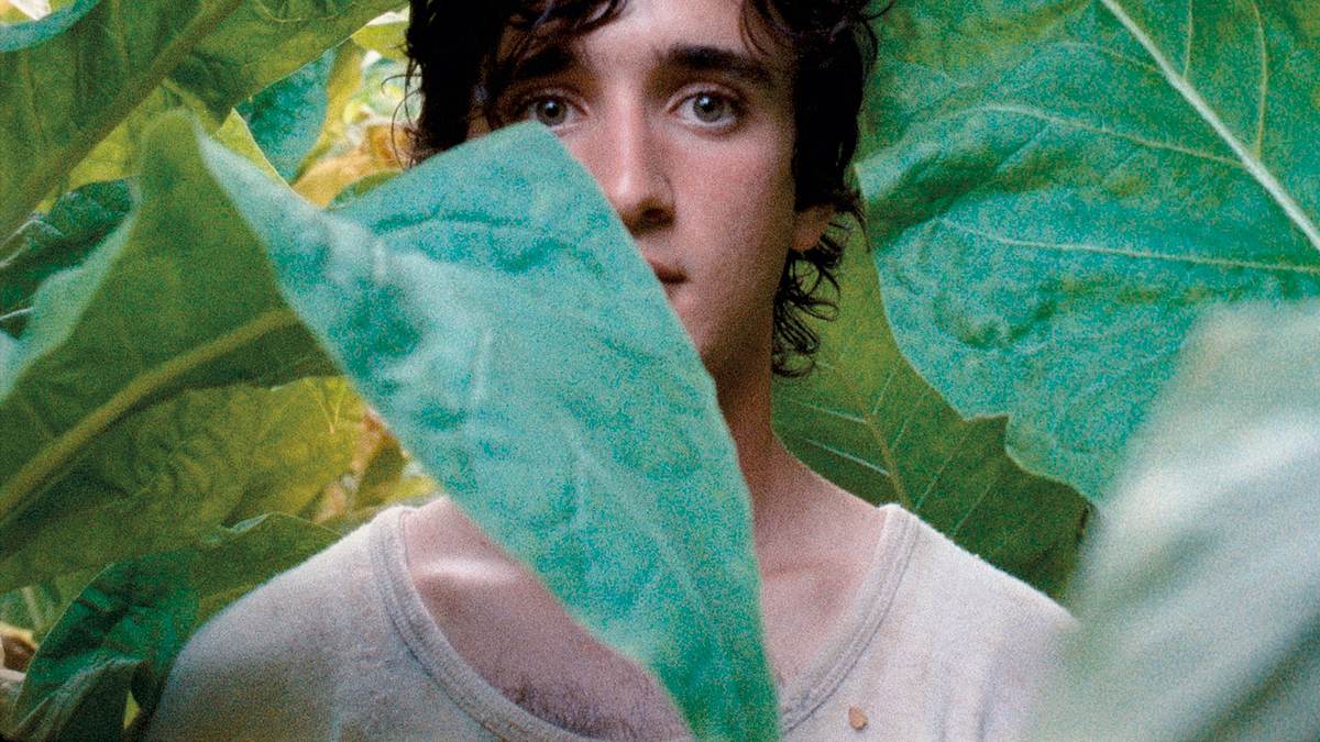 glücklich wie lazzaro