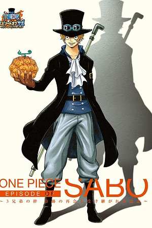One Piece Special: Episode of Sabo - Das Band der 3 Brüder - Foto: TMDB