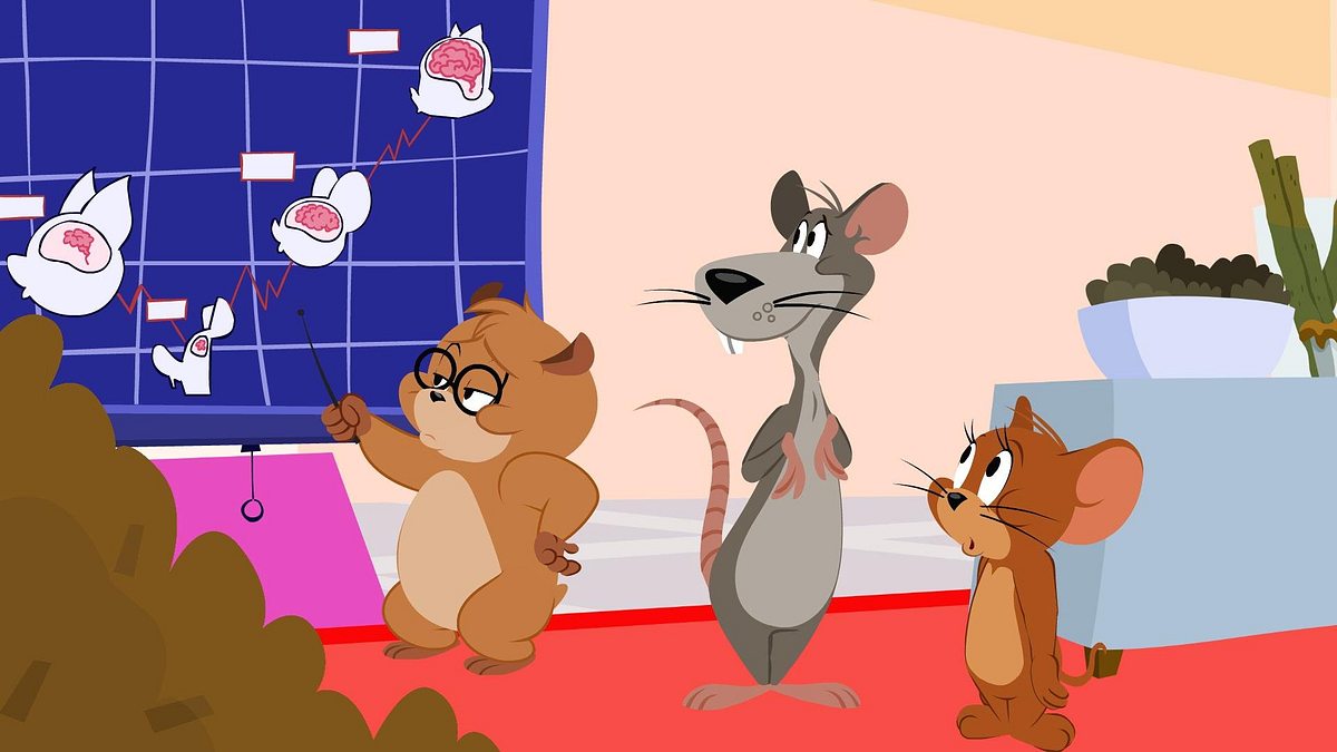 Die Tom und Jerry Show die tom und jerry show
