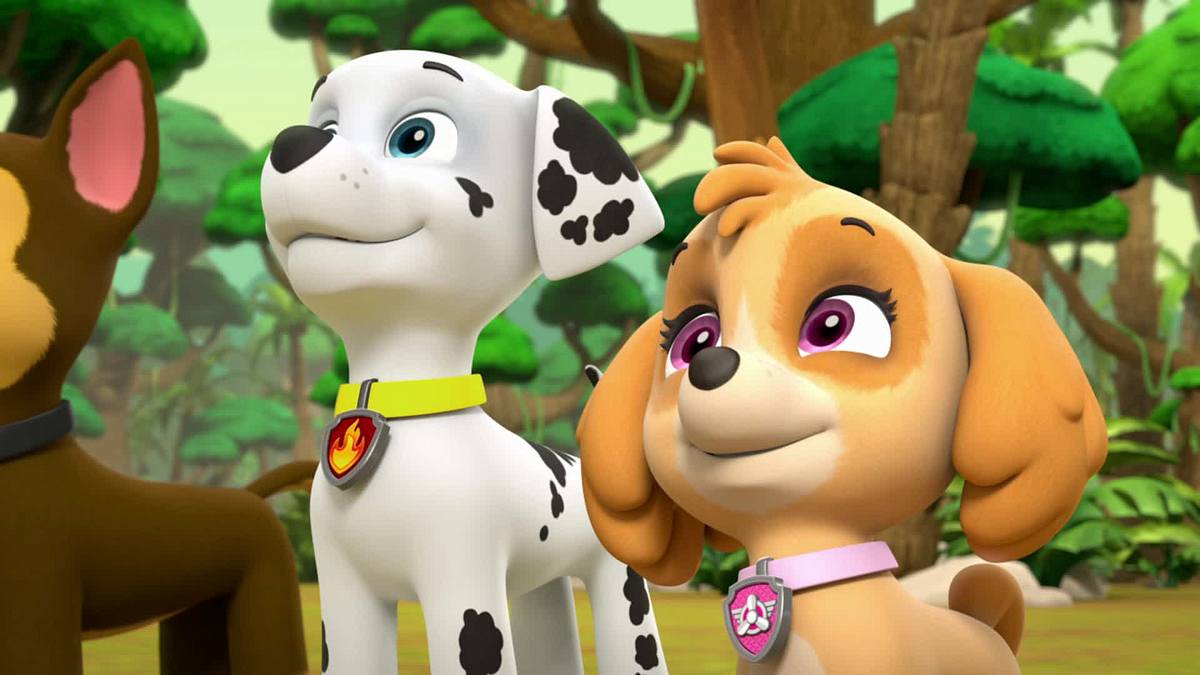 Paw Patrol - Helfer auf vier Pfoten paw patrol - helfer auf vier pfoten