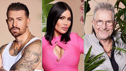 Dschungelcamp: Luigi Birofio, Djamila Rowe und Martin Semmelrogge - Foto: RTL