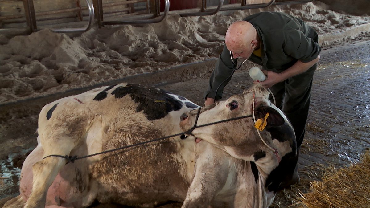 der unglaubliche dr. pol