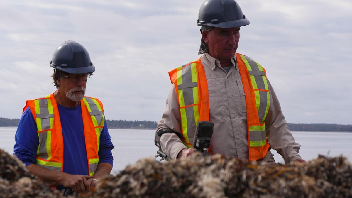 oak island - fluch und legende