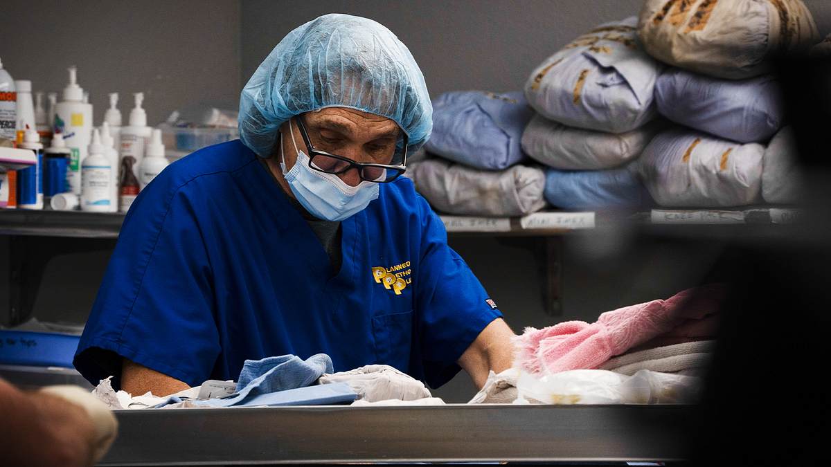 tierarzt dr. jeff