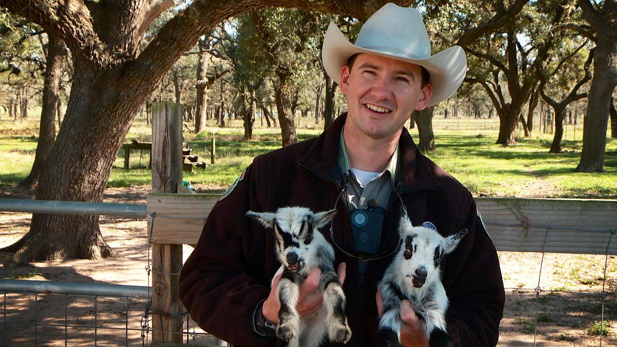 lone star law - die gesetzeshüter von texas