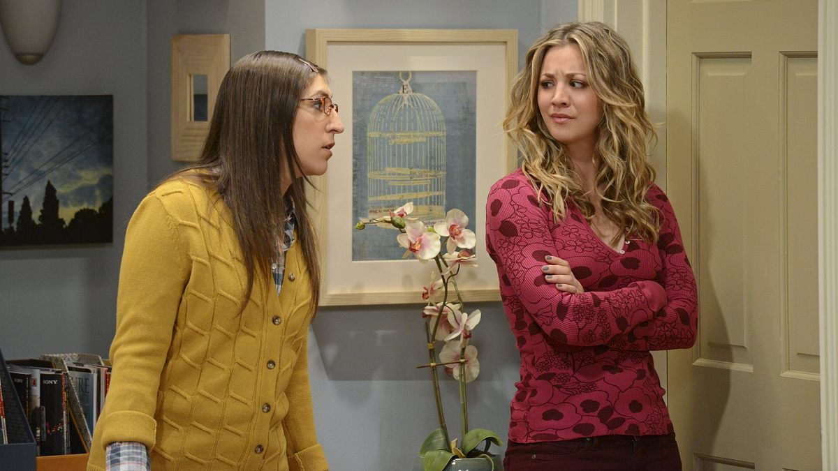 the big bang theory