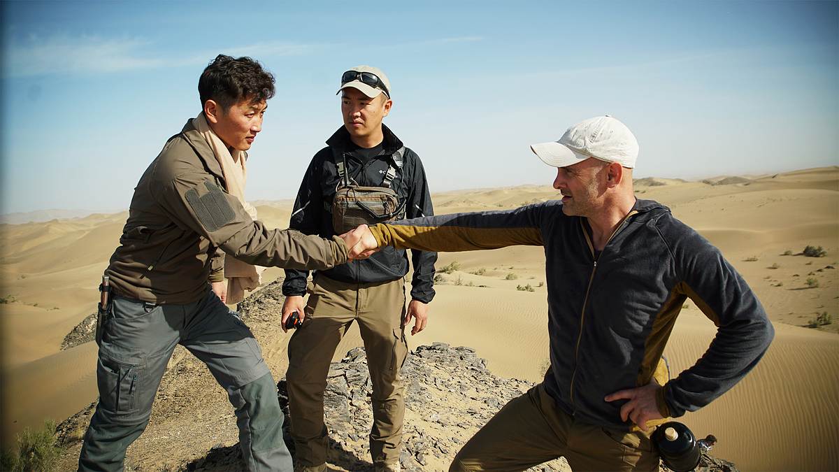 ed stafford: das survival-duell