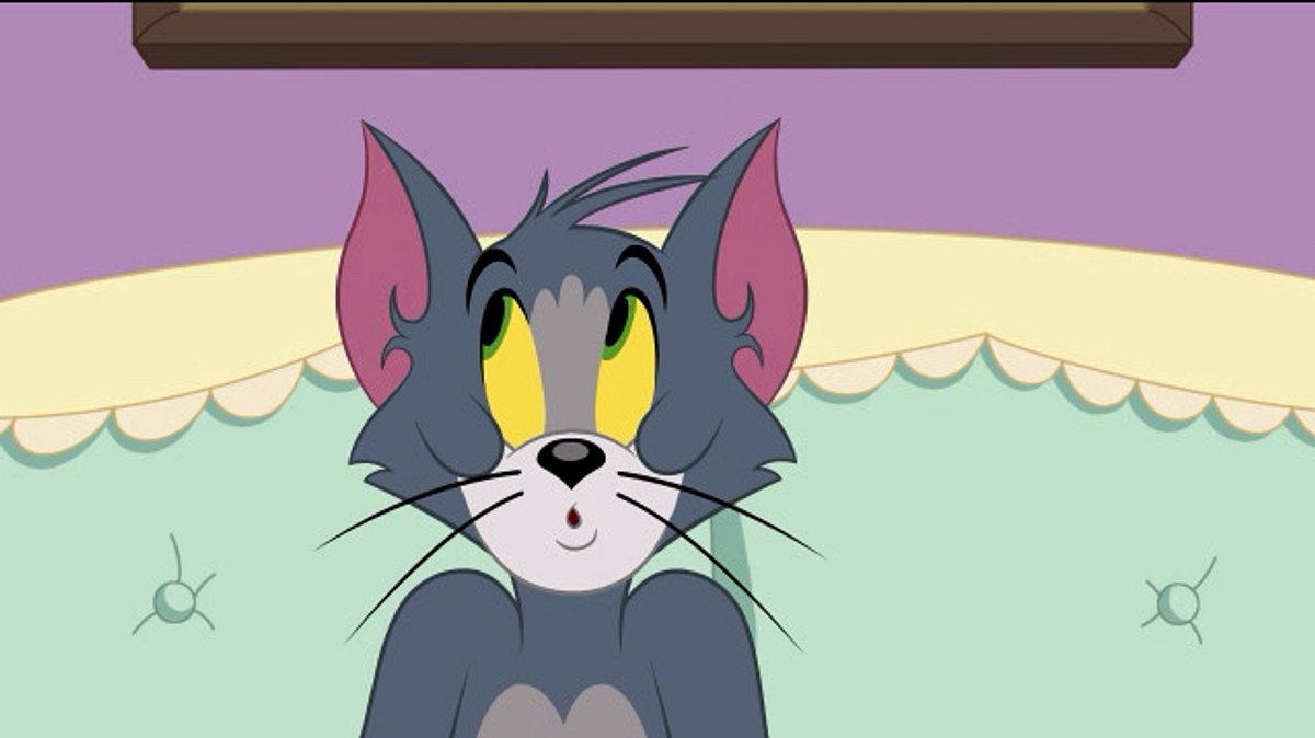die tom und jerry show