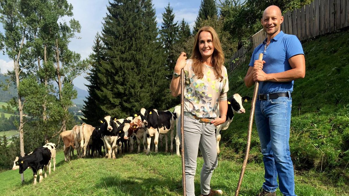 zurück zur natur