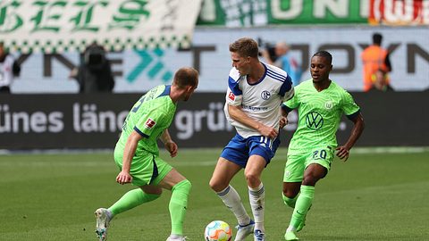 Abstiegsangst gegen Europa-Wunsch: So siehst du Schalke gegen Wolfsburg im Stream - Foto: Getty Images / DeFodi Images