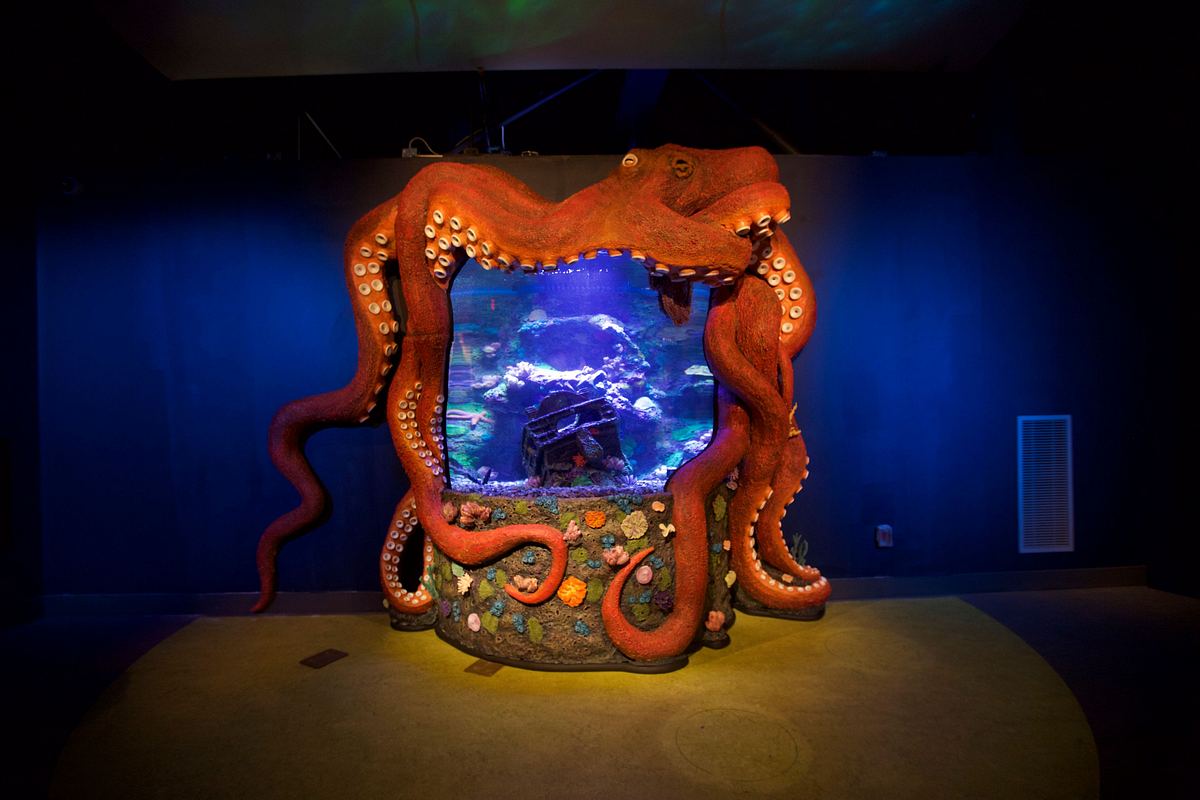 Die Aquarium-Profis die aquarium-profis