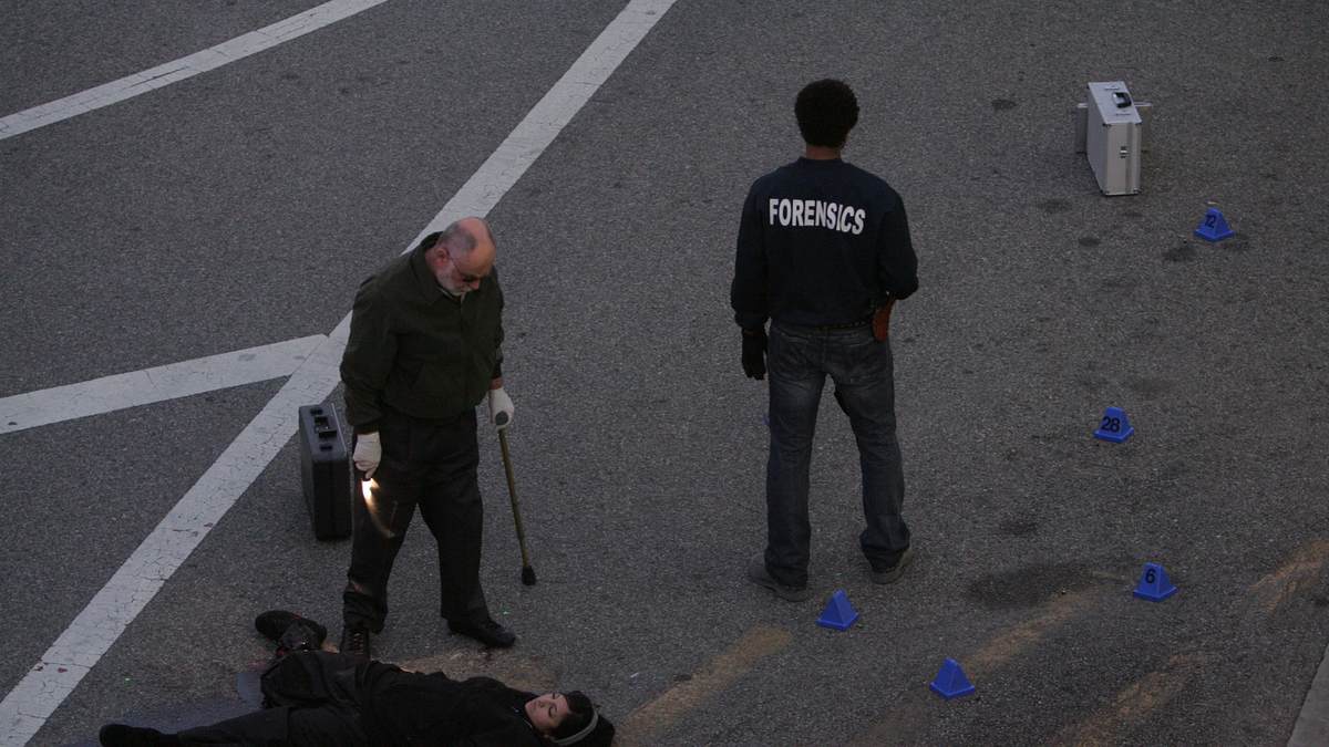 csi: den tätern auf der spur