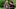 Video Platzhalter Video Platzhalter