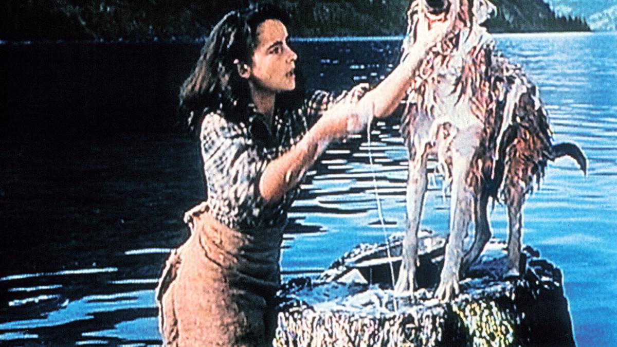 lassie - held auf vier pfoten