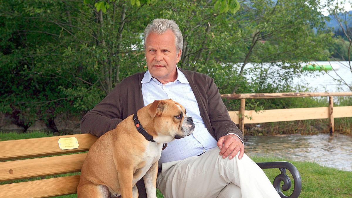 utta danella - wer küsst den doc?