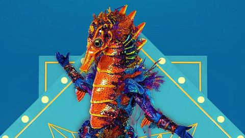 „The Masked Singer“ Staffel 8: Fans vermuten Dschungelcamp-Promi hinter dem Seepferdchen - Foto: Instagram / @masked.singer.germany