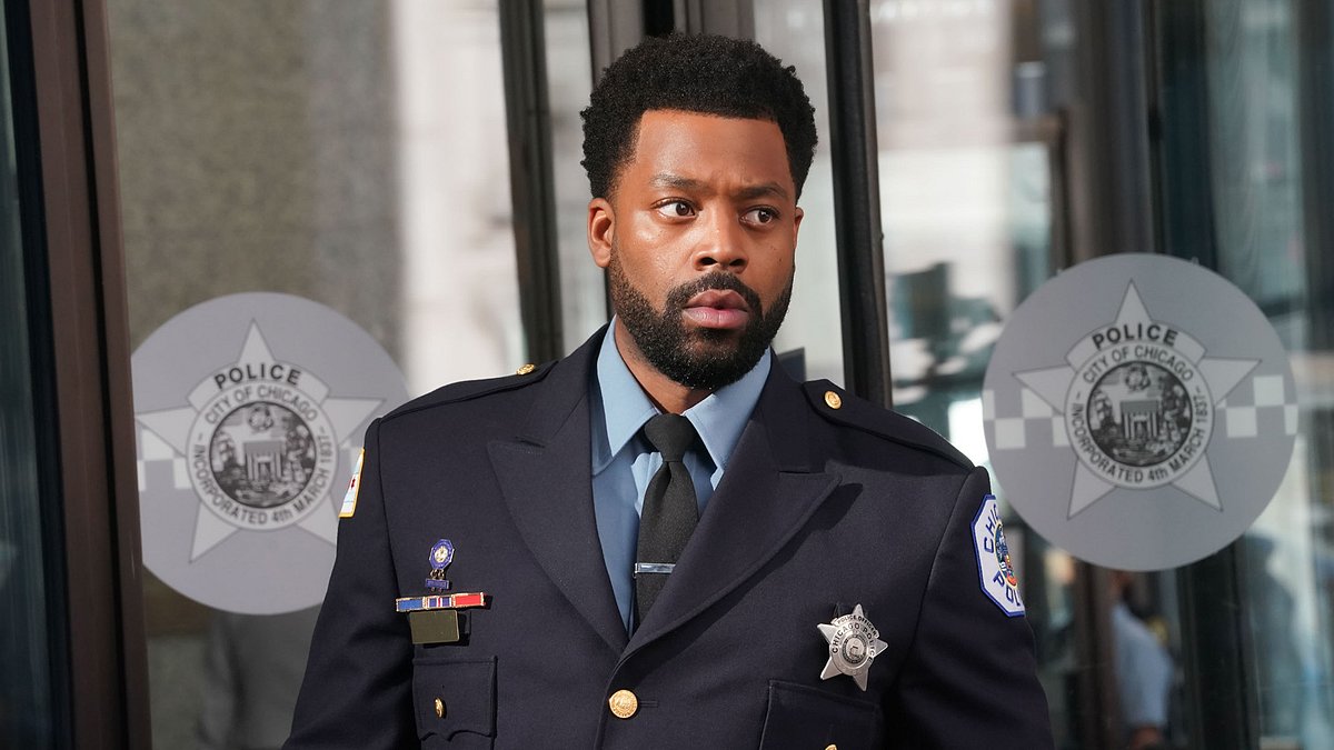 chicago p.d.