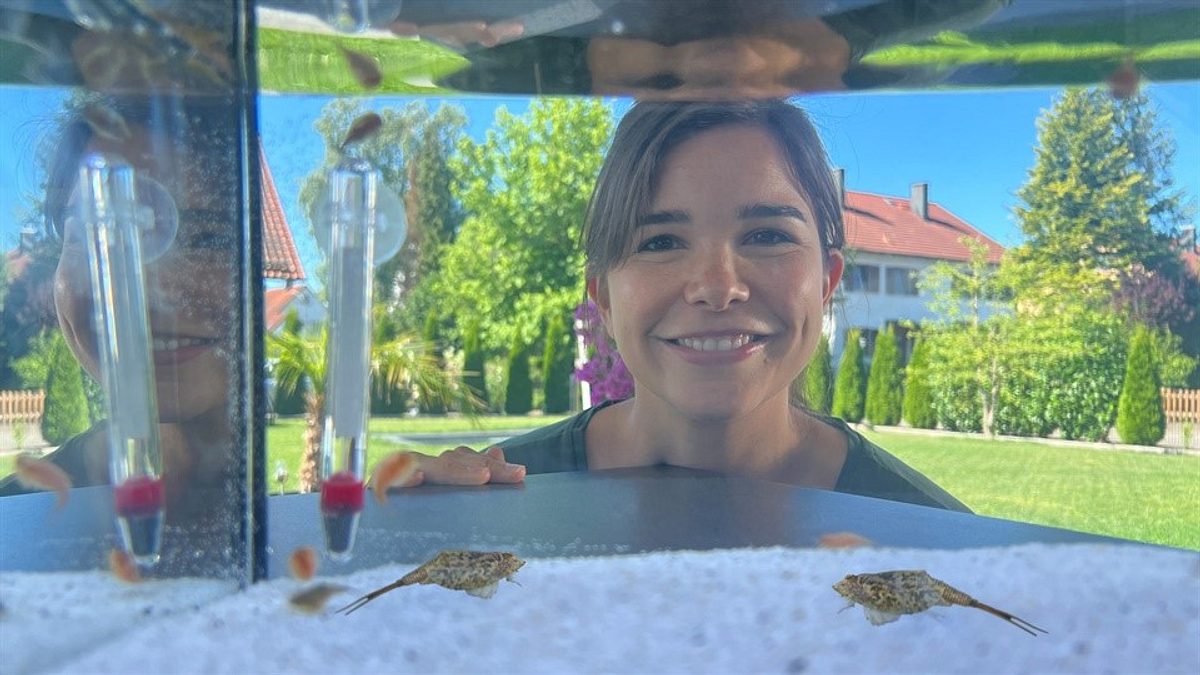 anna und die haustiere