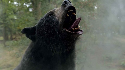 Cocaine Bear ab 13. April im Kino - Foto: Universal Pictures
