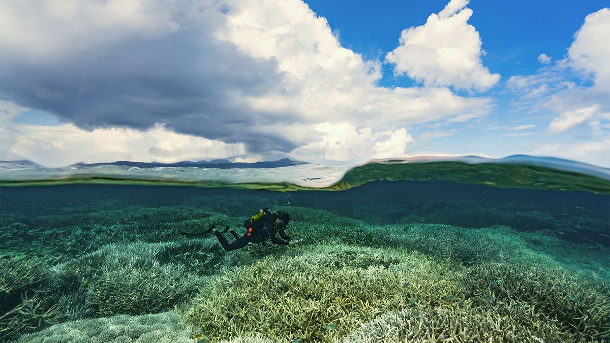 im einsatz am great barrier reef