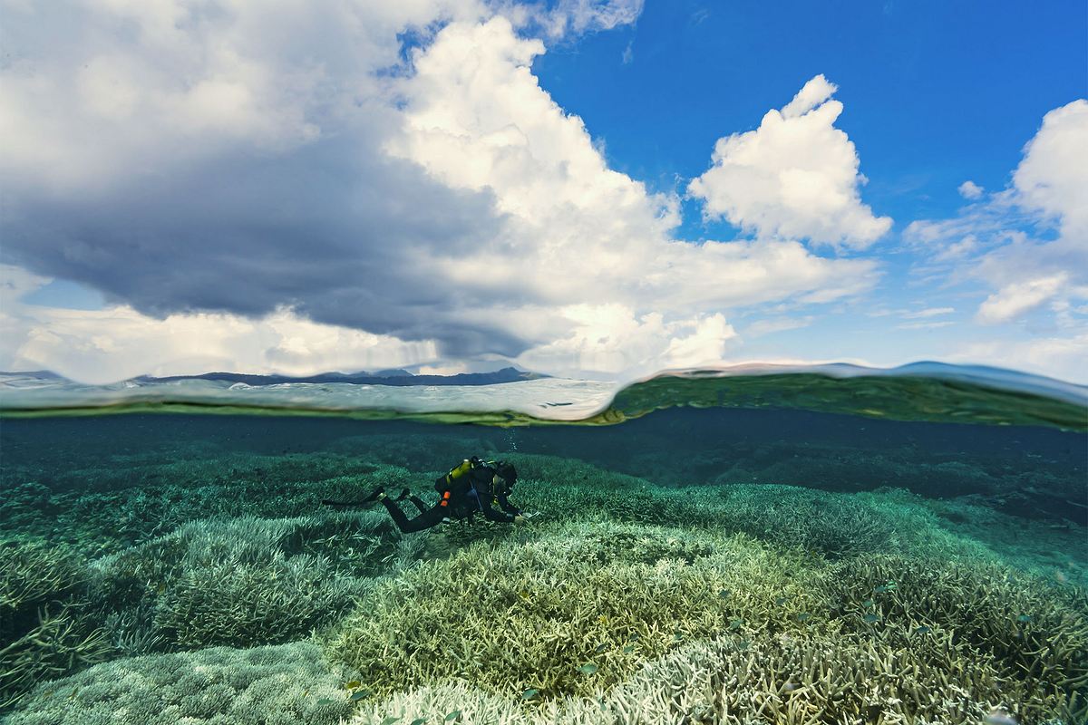 Im Einsatz am Great Barrier Reef im einsatz am great barrier reef