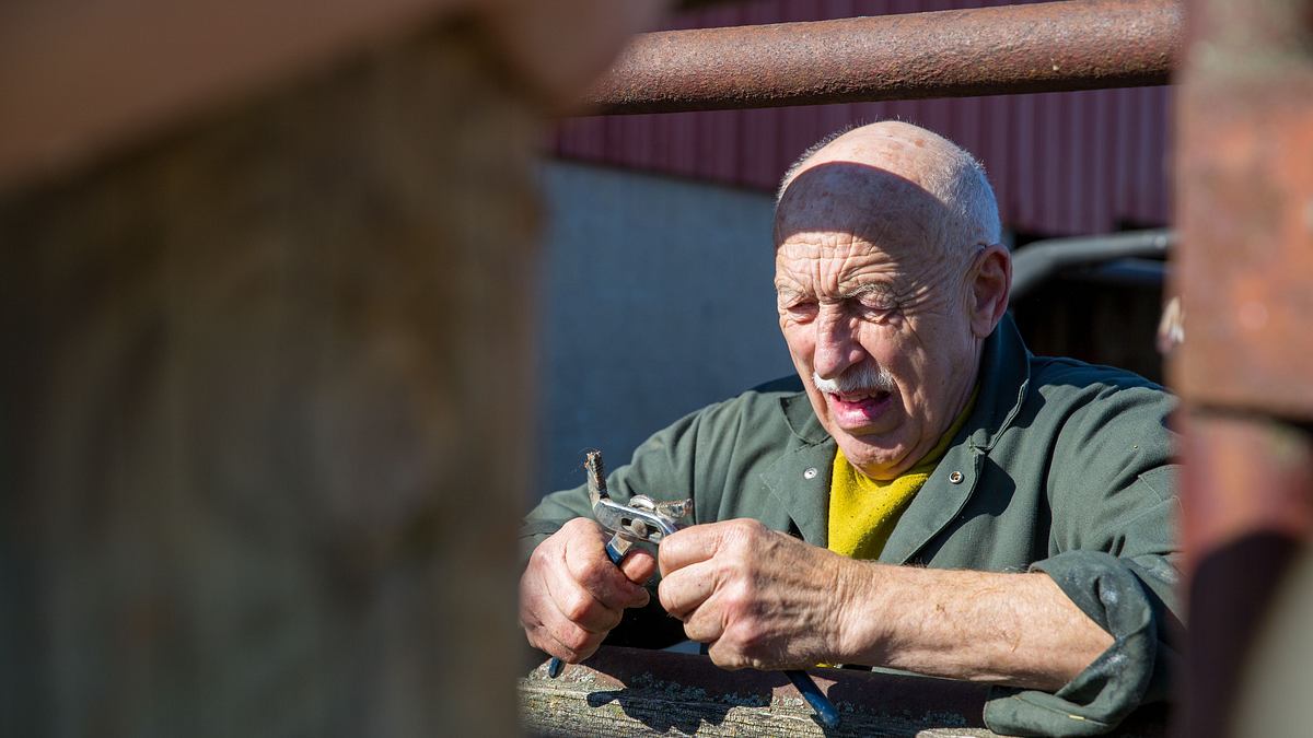 der unglaubliche dr. pol