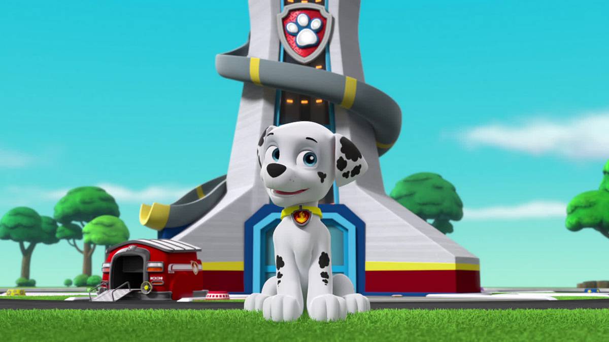 Paw Patrol - Helfer auf vier Pfoten paw patrol - helfer auf vier pfoten