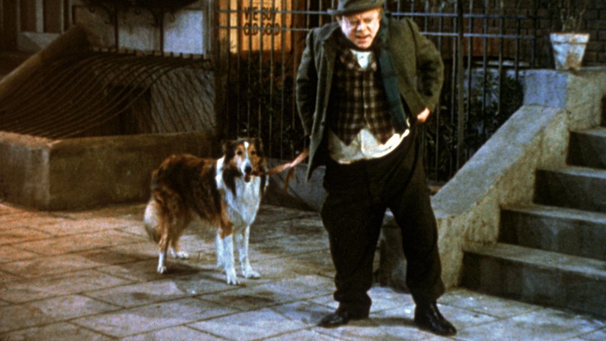 lassie in not