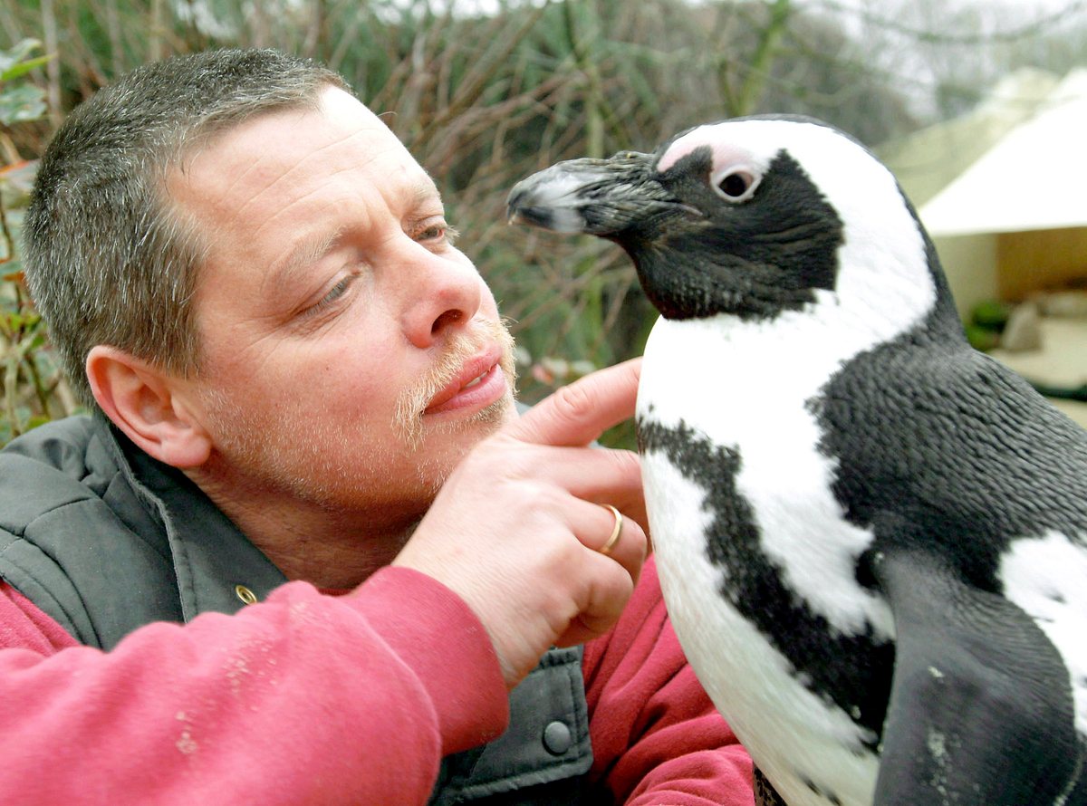Pinguin, Löwe & Co. pinguin, löwe & co.