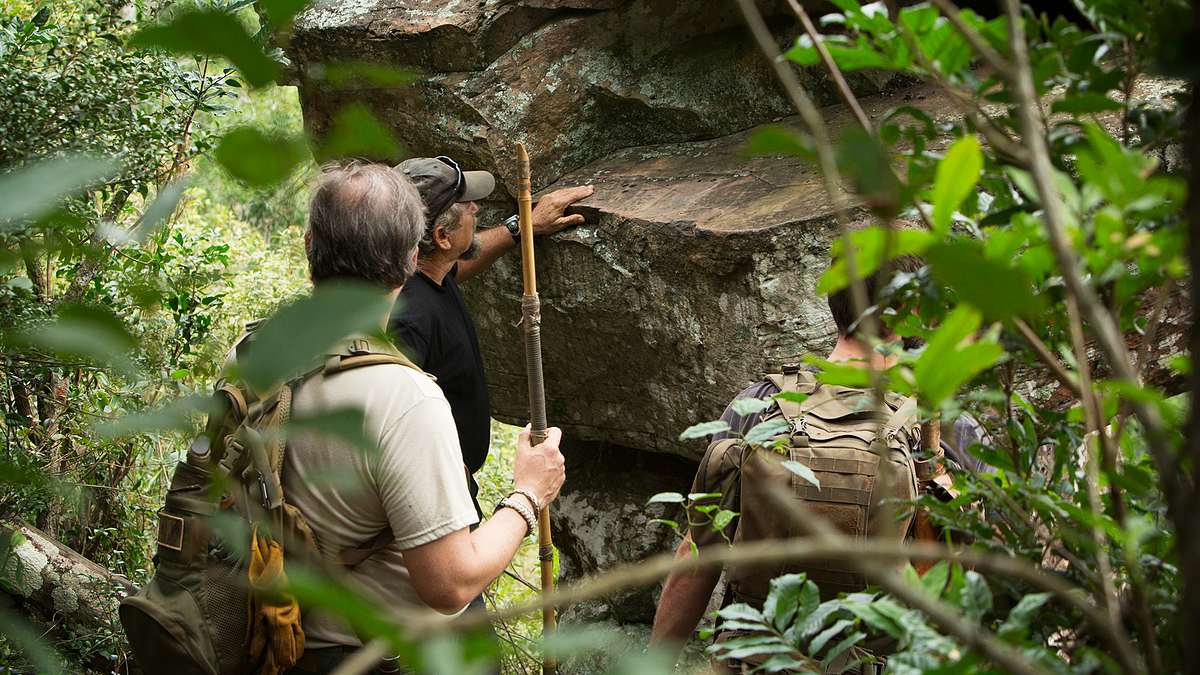 die schatzsucher von snake island