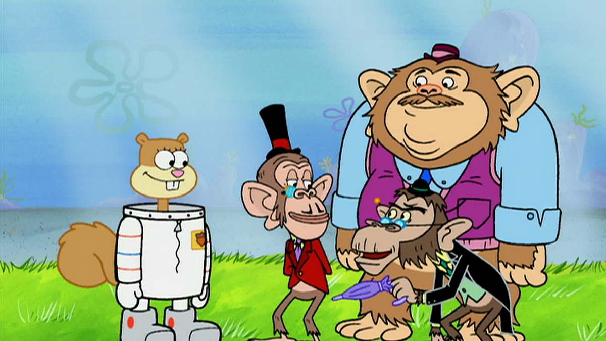 spongebob schwammkopf
