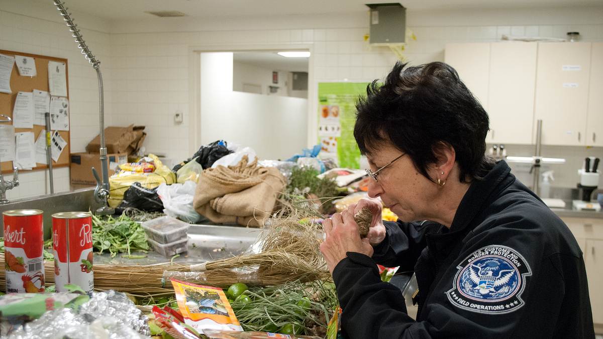 flughafen new york - kampf den schmugglern