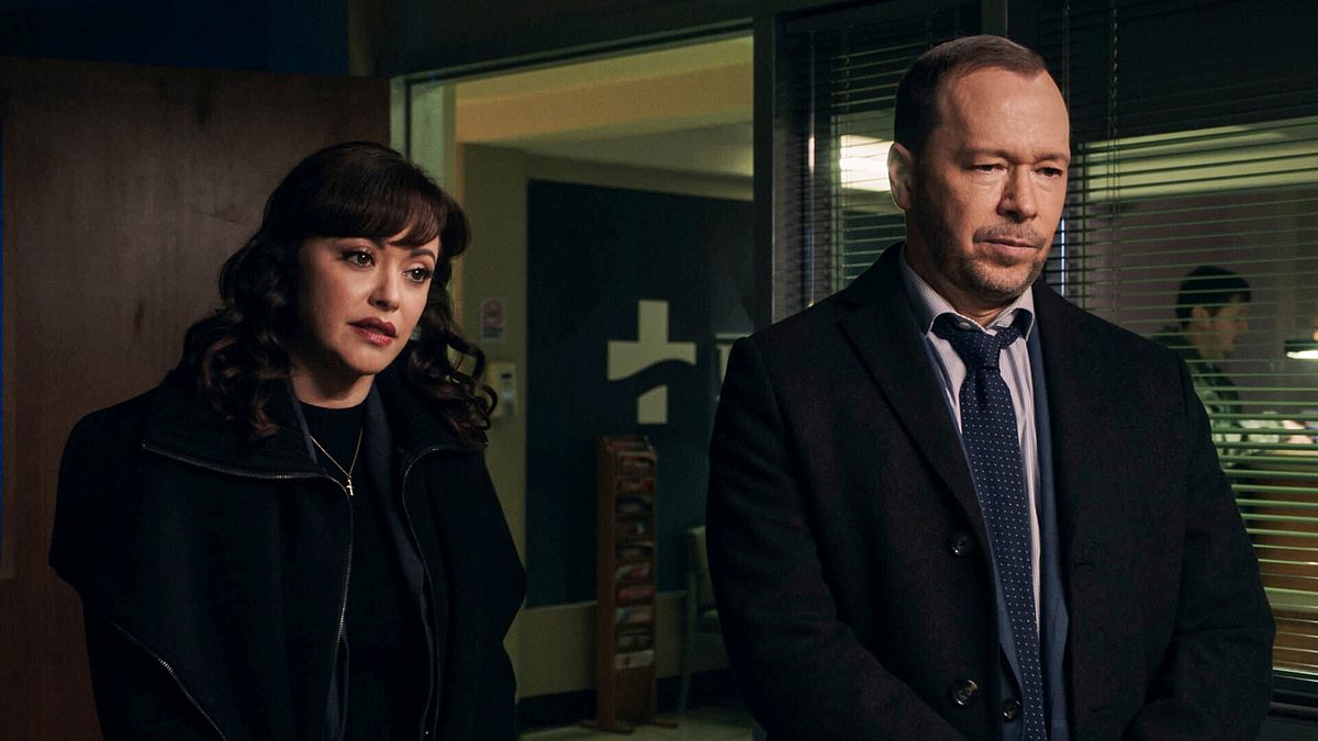 blue bloods - crime scene new york