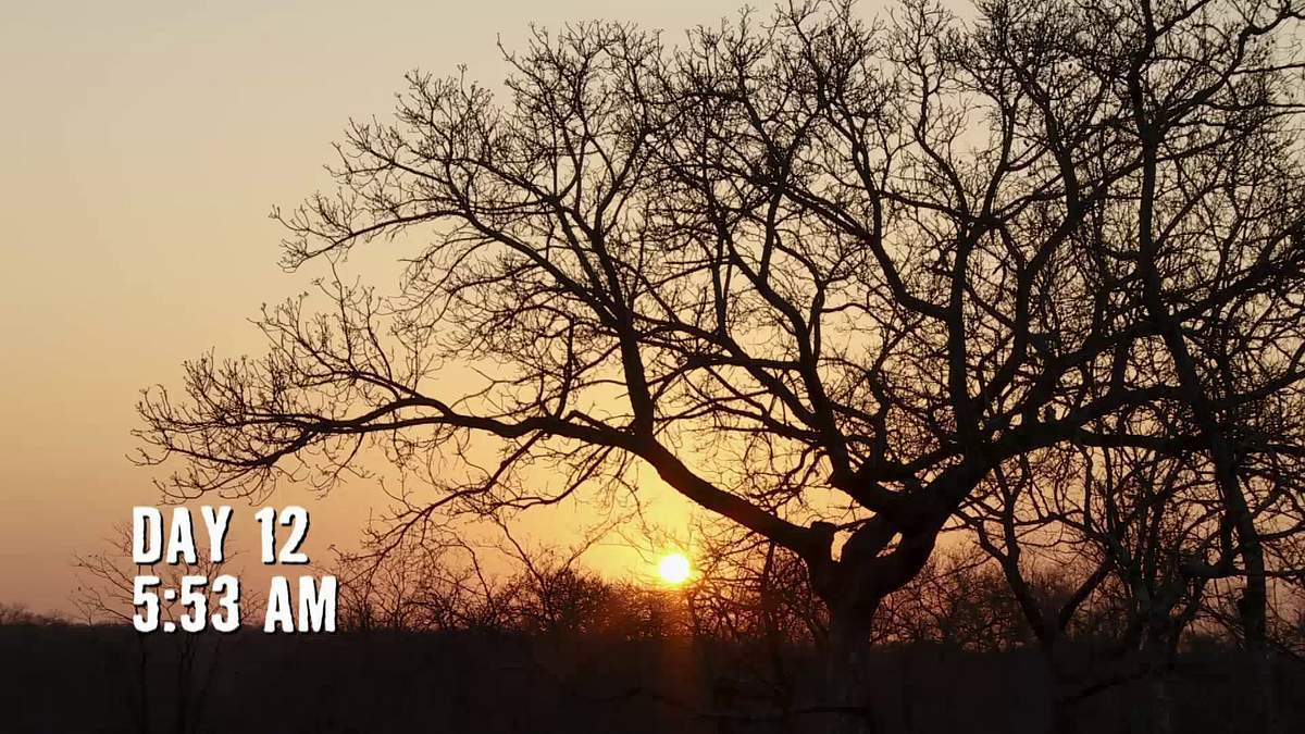 naked survival xxl - 40 tage überleben