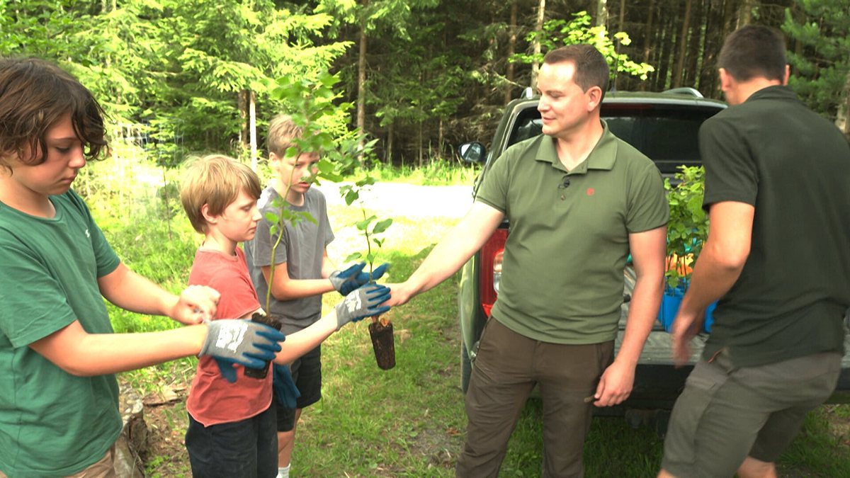 orf kids