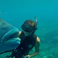 Australiens Wildnis Thumbnail