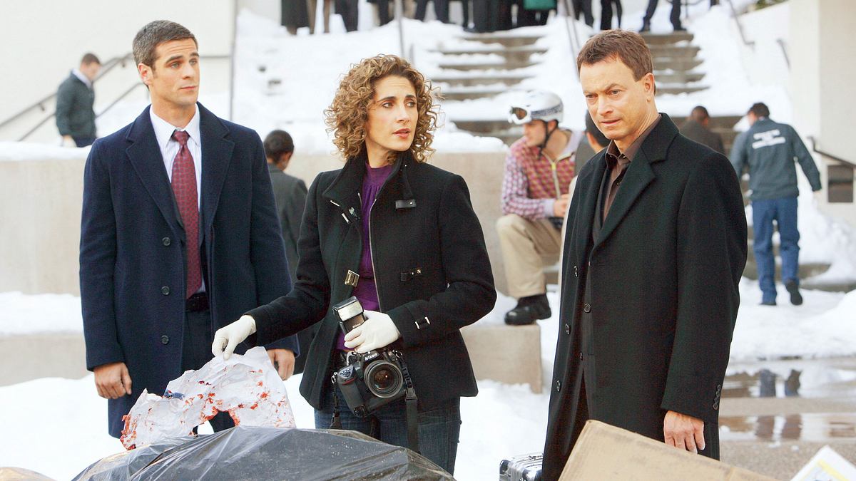 csi: ny