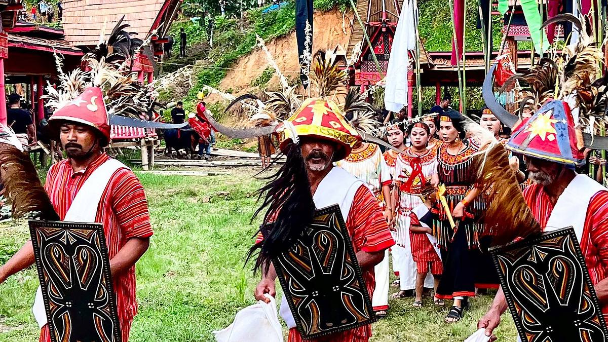 sulawesi - indonesiens geheimnisvolle schönheit