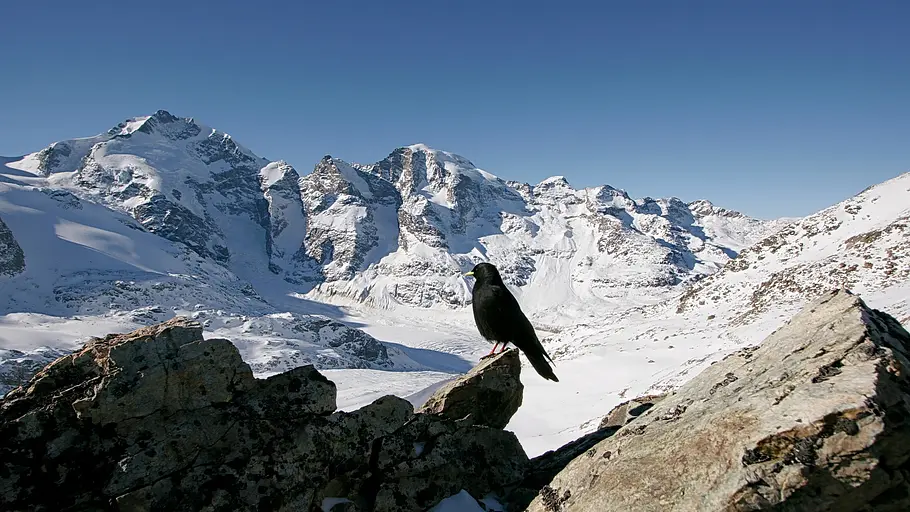 3satthementag: eiskalt