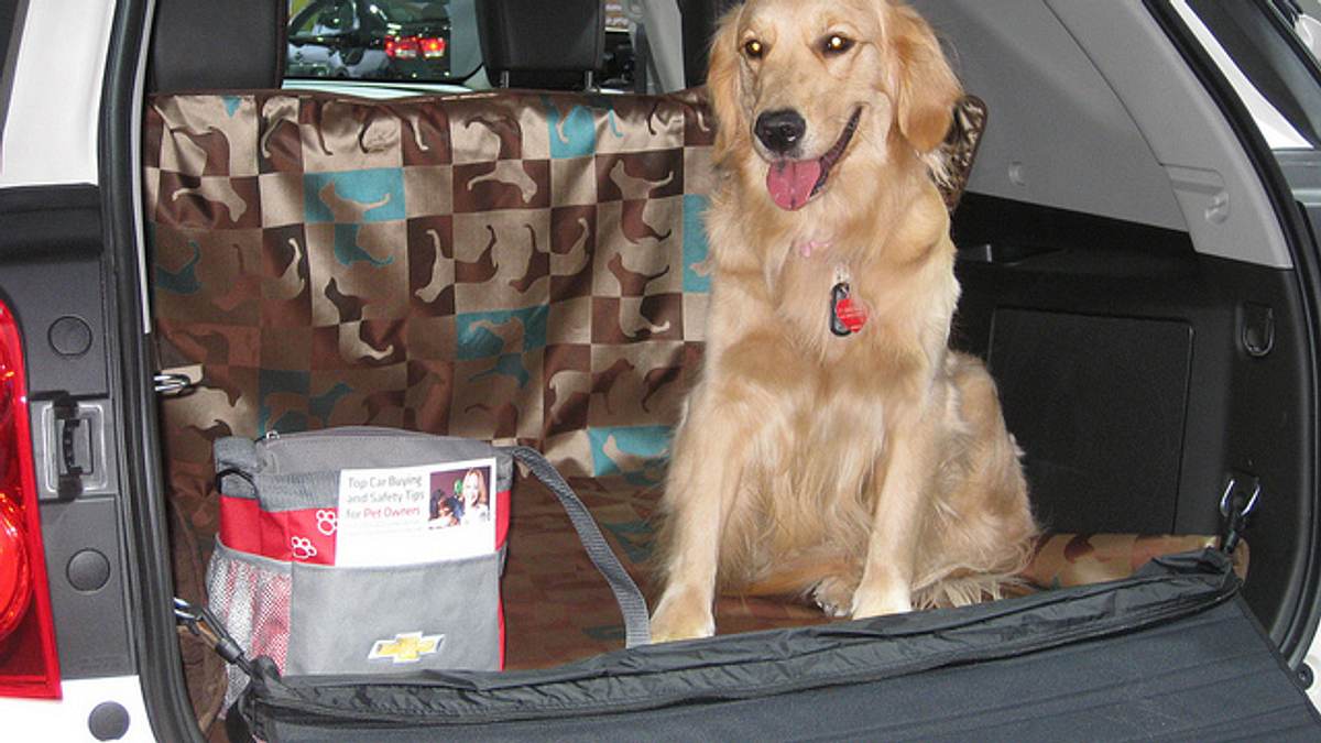 check-in für tiere