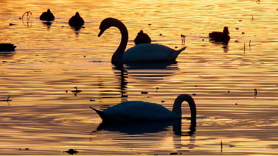 abenteuer wildnis