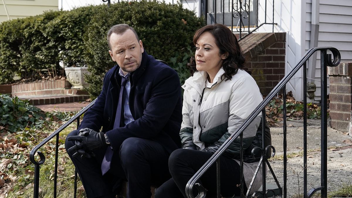 blue bloods - crime scene new york