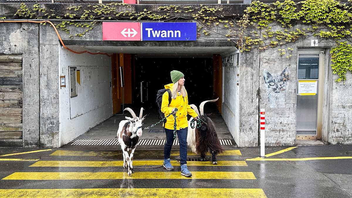 srf bi de lüt
