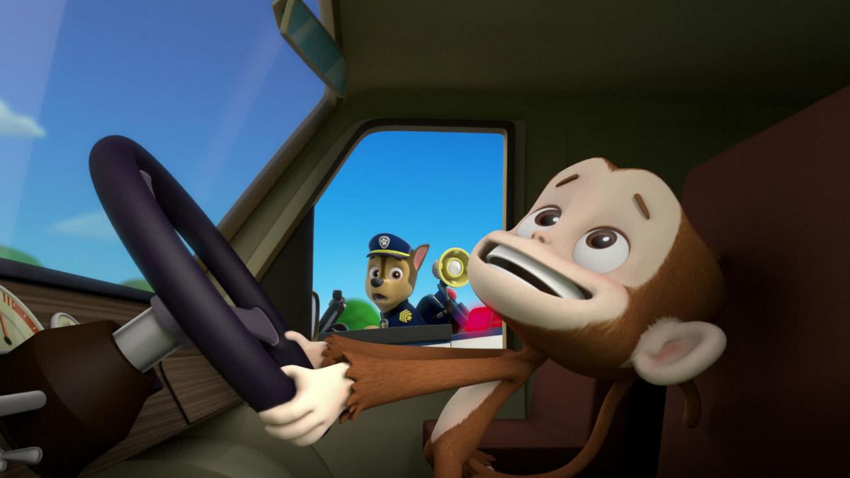 Paw Patrol - Helfer auf vier Pfoten paw patrol - helfer auf vier pfoten
