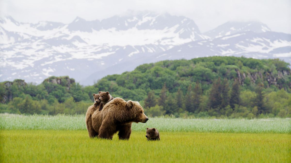 nationalparks: usa