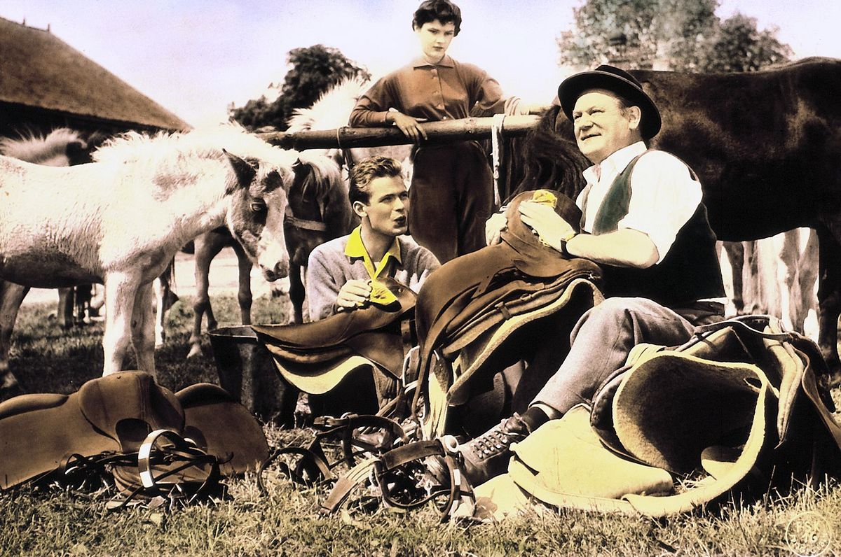 Ferien auf Immenhof ferien auf immenhof