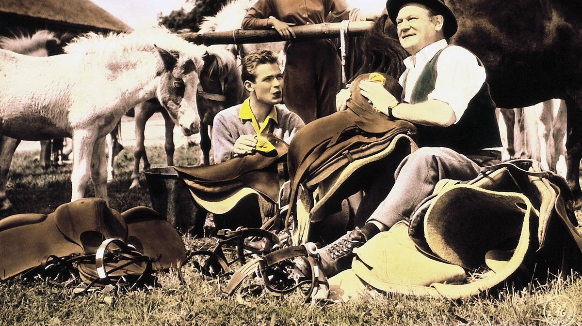 ferien auf immenhof