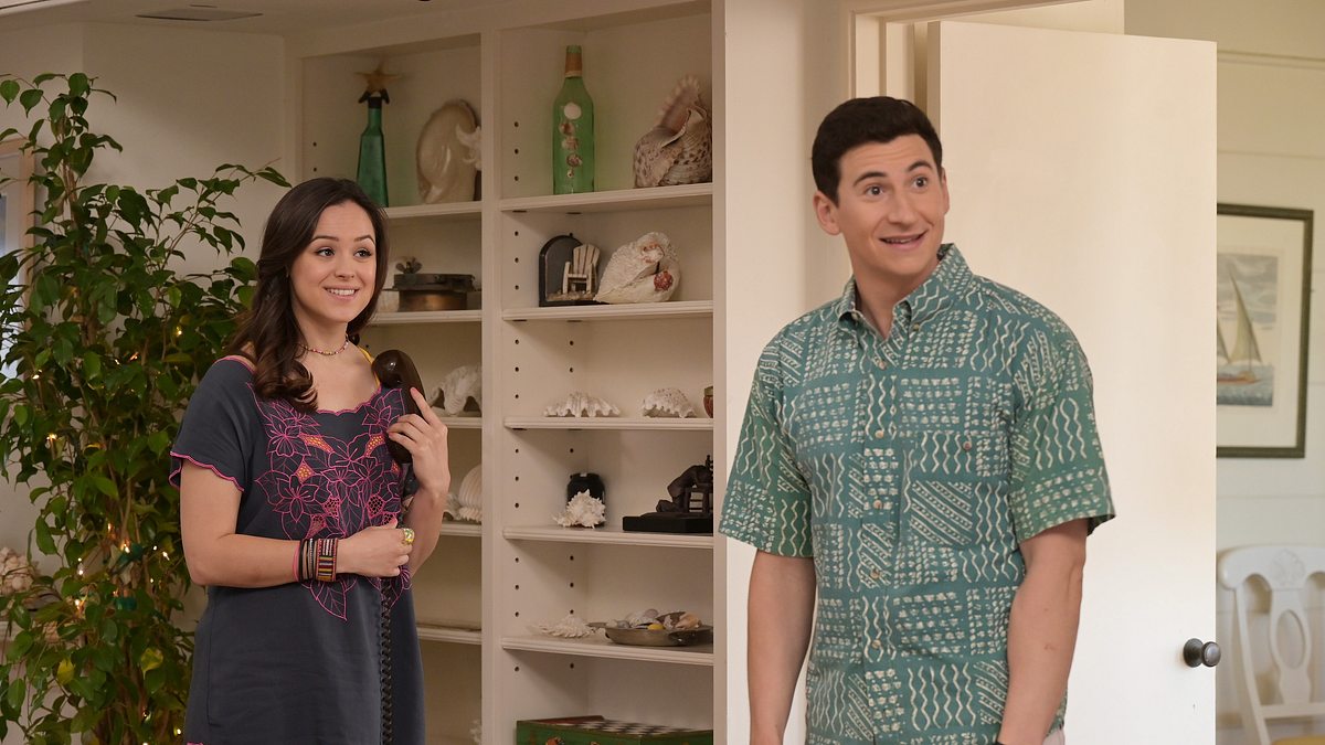 the goldbergs