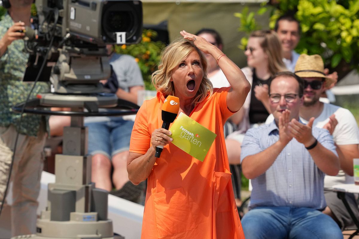 Andrea Kiewel schaut in den Himmel – ZDF-Fernsehgarten wird wegen Unwetter ins Studio verlegt Andrea Kiewel schaut in den Himmel – ZDF-Fernsehgarten wird wegen Unwetter ins Studio verlegt